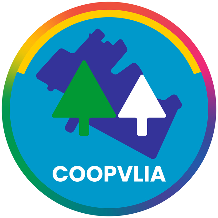 coopvillalia.com.ar
